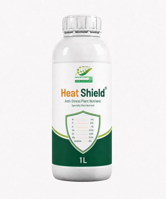 Heat Shield