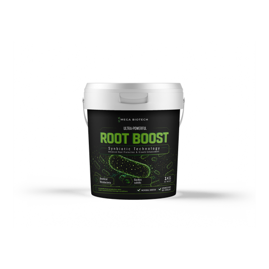 ROOT BOOST